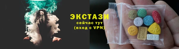 СК Алексин