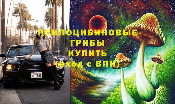 ГАЛЛЮЦИНОГЕННЫЕ ГРИБЫ Алексеевка