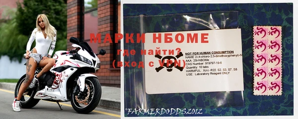 СК Алексин