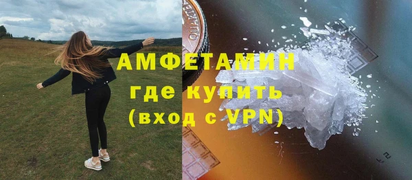 СК Алексин