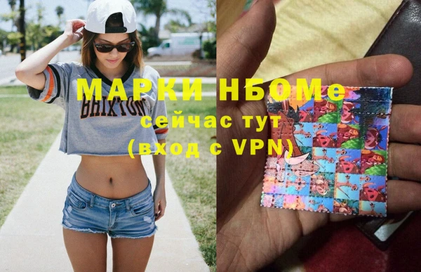 СК Алексин
